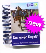 BEPELI BEPELI